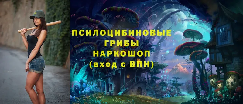 где продают наркотики  Бабаево  Псилоцибиновые грибы прущие грибы 